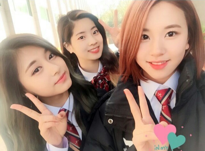 [트와이스] 라인정리 아홉번째 -급식단- | 인스티즈
