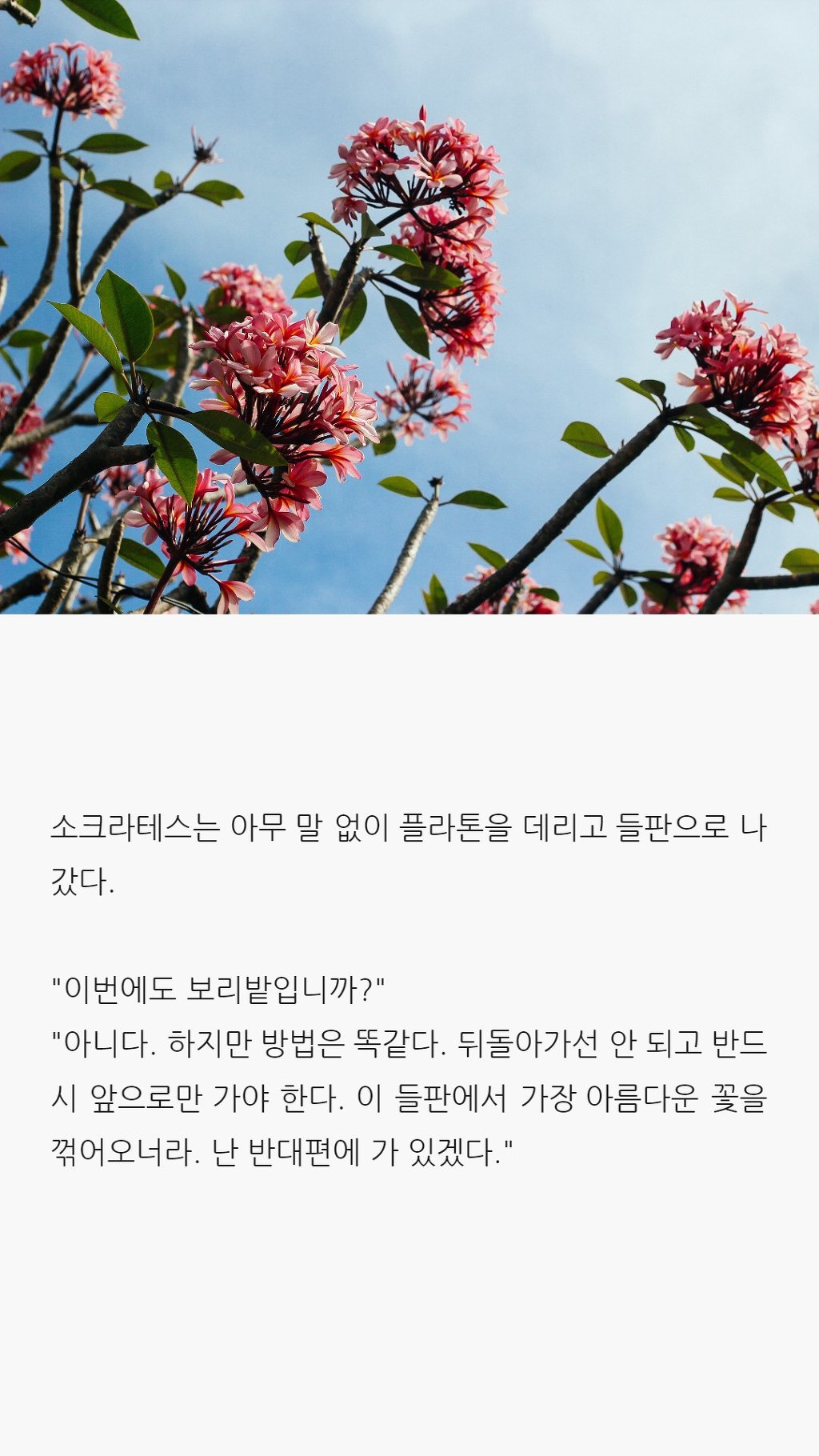  사랑에 대해 모르는 당신이 읽으면 좋은 글 | 인스티즈