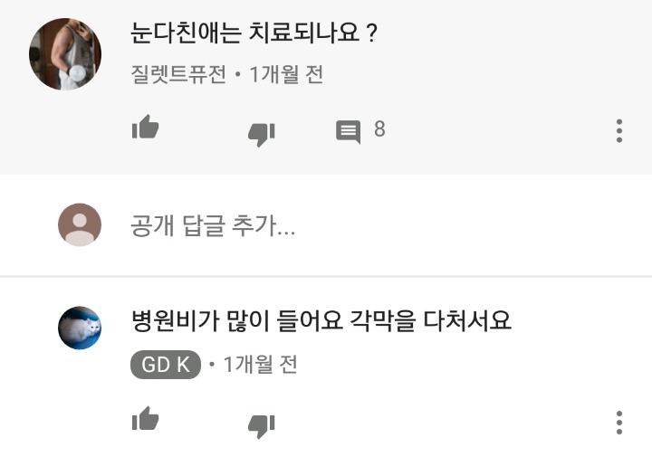 가정집 고양이공장같은 애니머호더 유튜버 봐줘라 | 인스티즈