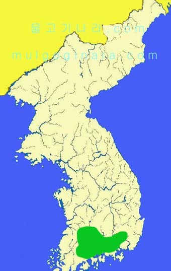 (합)태*사 이미지