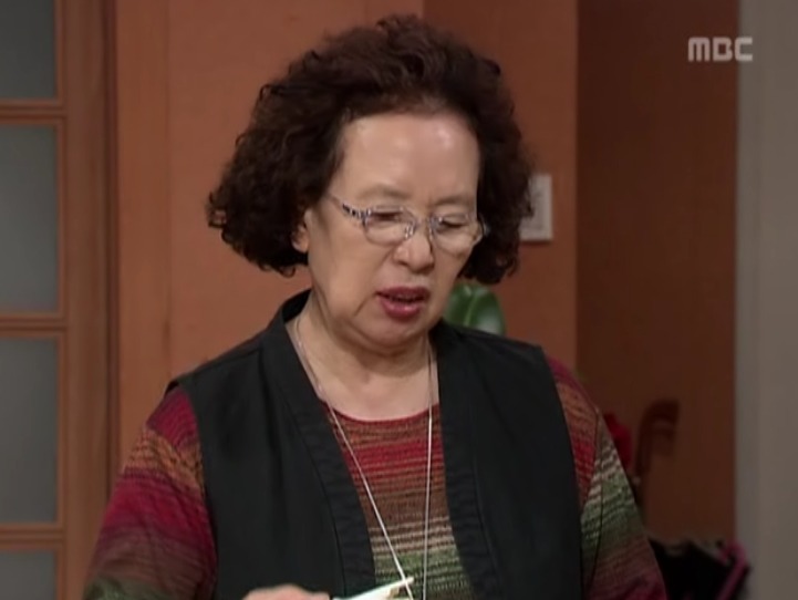 거침없이 하이킥에서 100분토론 나가는 박해미를 보며 나문희가 하는 생각 | 인스티즈