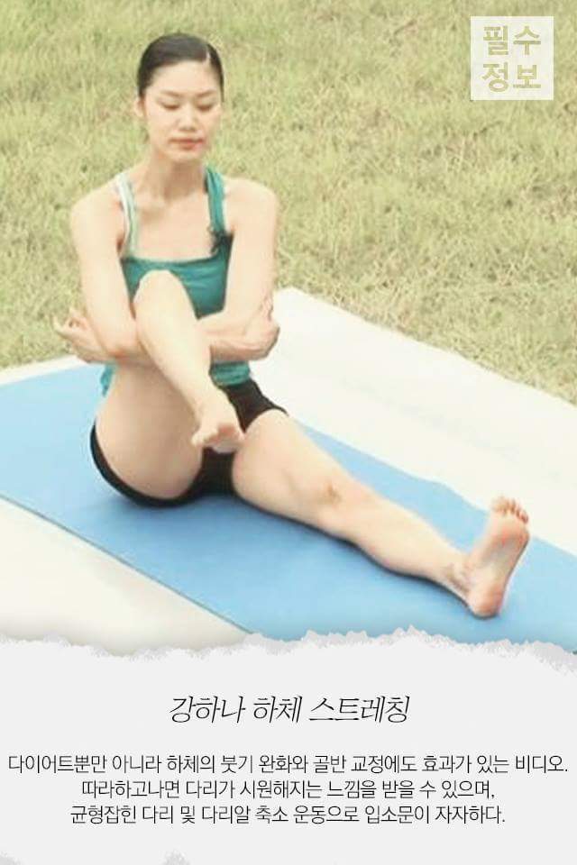 운동효과 좋기로 유명한 다이어트 비디오들 | 인스티즈