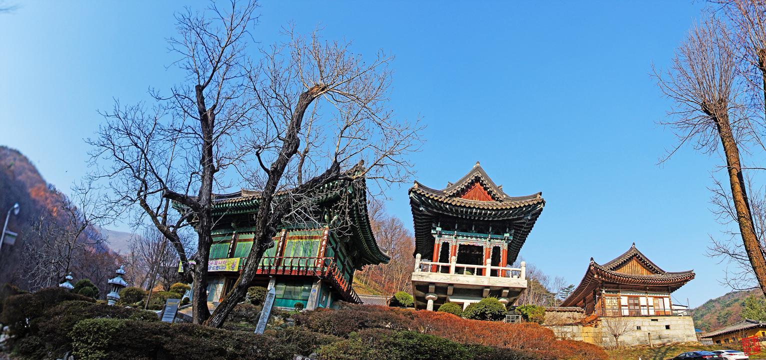 광덕사 이미지