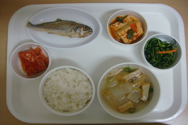 본인이 직접 느낀/경험상 깨달은 최고의 다이어트 식이방법은? (보기 있음) | 인스티즈