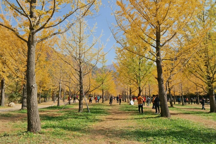 숲길 이미지