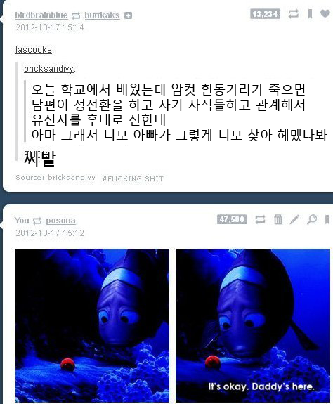 니모 아빠가 니모를 그렇게 찾아 헤맨 이유.jpg | 인스티즈