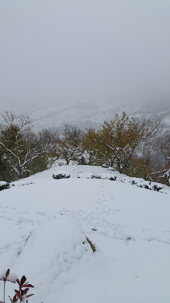 칠갑산하 이미지