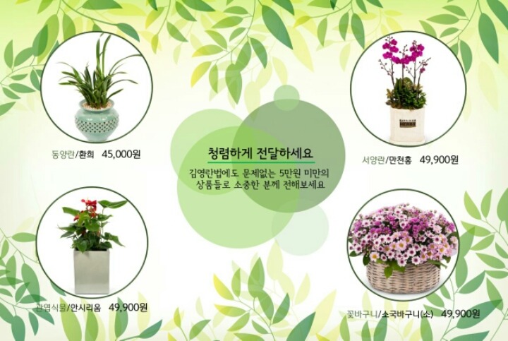 꽃파는사람들 이미지