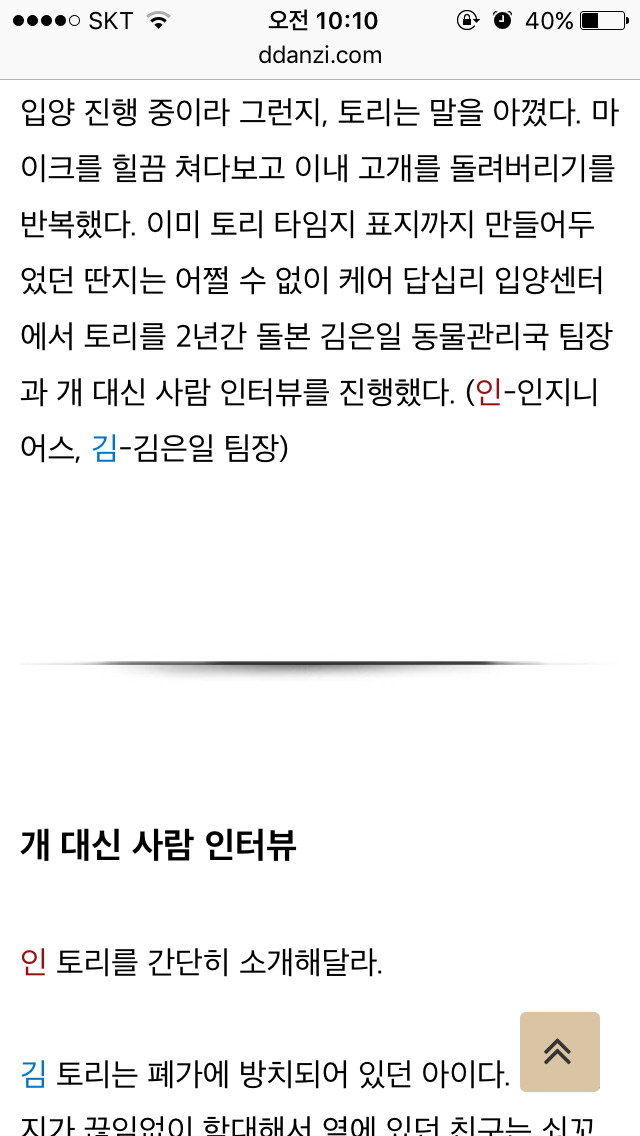 이너뷰] 문재인 정부의 막강 권력 : 퍼스트 독 토리 긴급 인터뷰 | 인스티즈