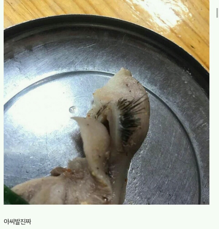 이거보면 이제 돼지국밥 못먹음 (혐오주의) | 인스티즈