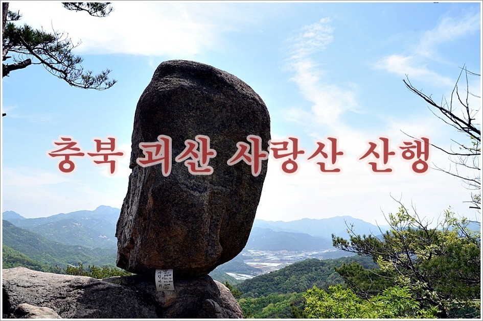 (주)숲에온 이미지