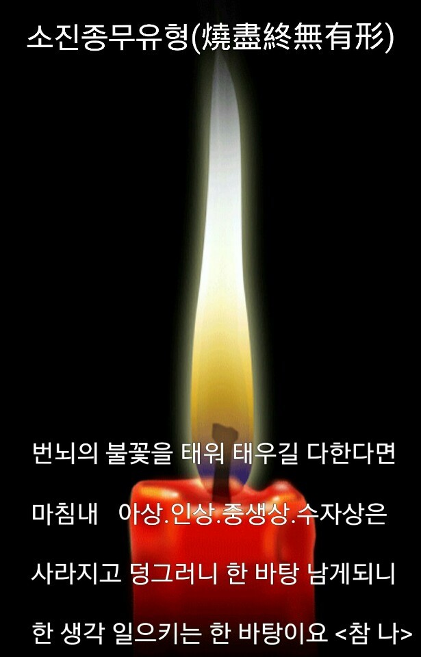 석향 이미지