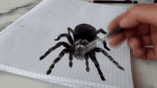 화가 아빠의 리얼한 3D거미 그림과 딸의 반응 GIF | 인스티즈