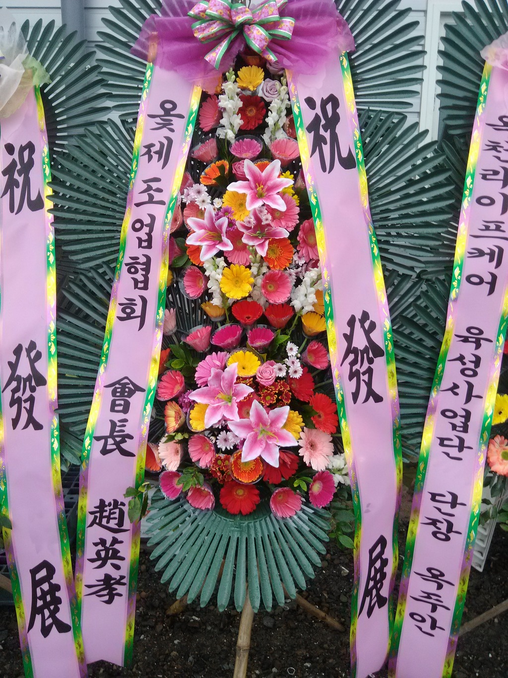 참옻지장수연구소 이미지
