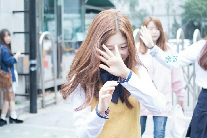 채연 이미지