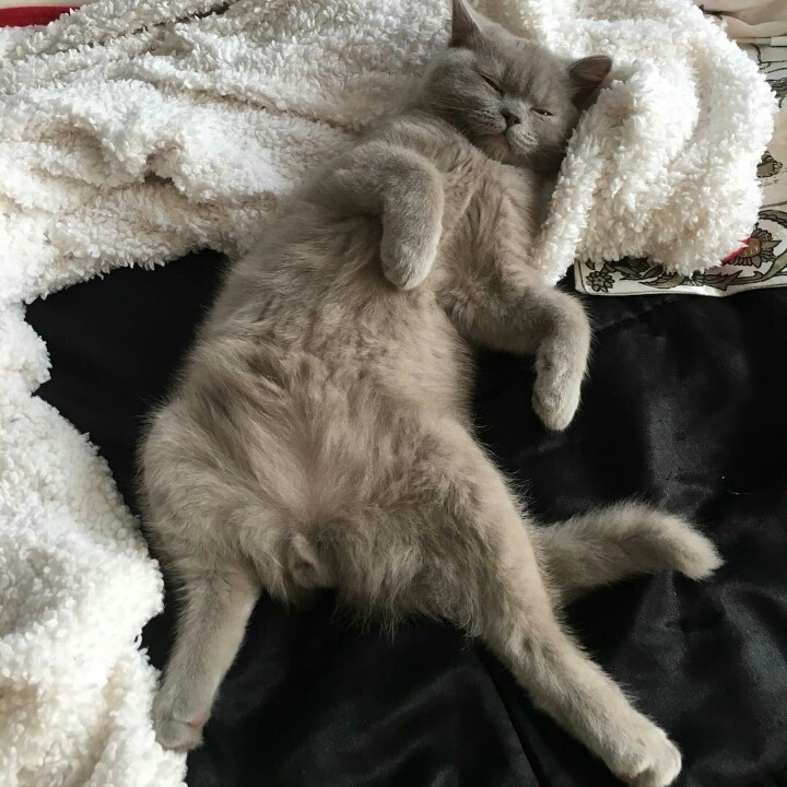 거대한 먼지덩어리들 | 인스티즈
