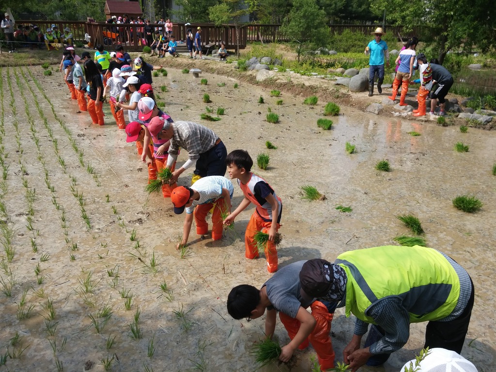 성화초등학교 이미지