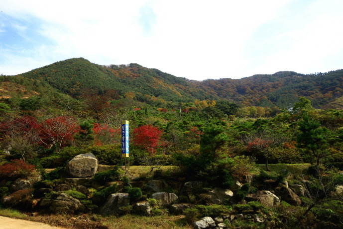 파랑새조경 이미지