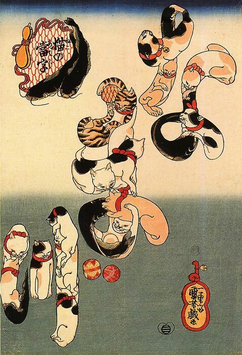 일일사 이미지