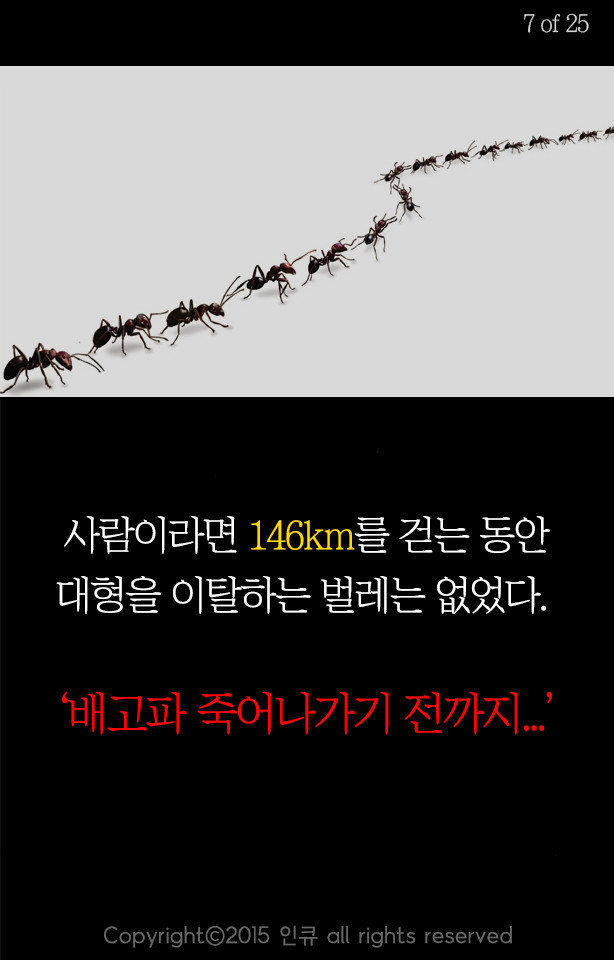 응원받아 마땅한 사람들 | 인스티즈