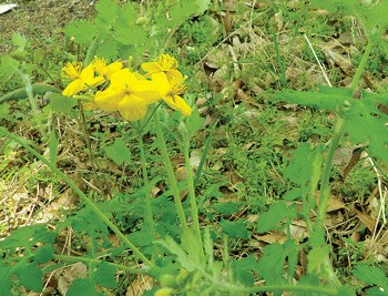 2443EF3D57916F2D079B60