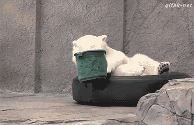 짱덕터지는 동물들.gif | 인스티즈