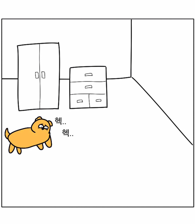 강아지가 우리 곁을 떠날 때 | 인스티즈