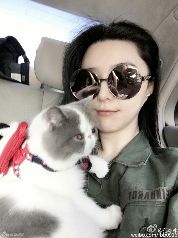 판빙빙 고양이.jpg | 인스티즈