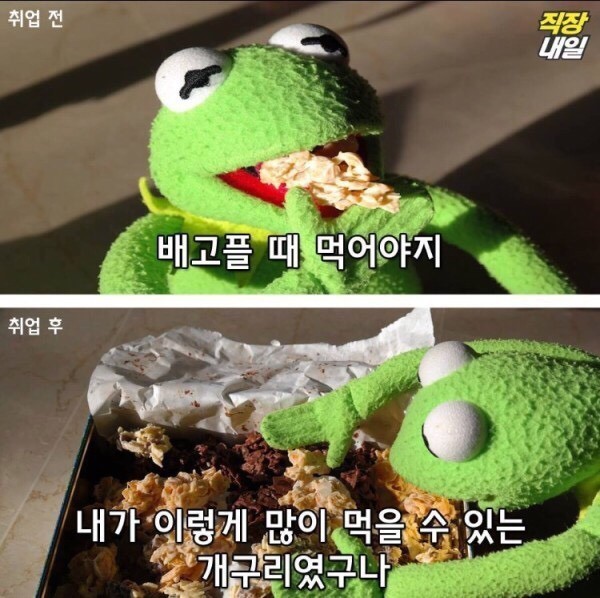 직장인이 되기 전/후 | 인스티즈
