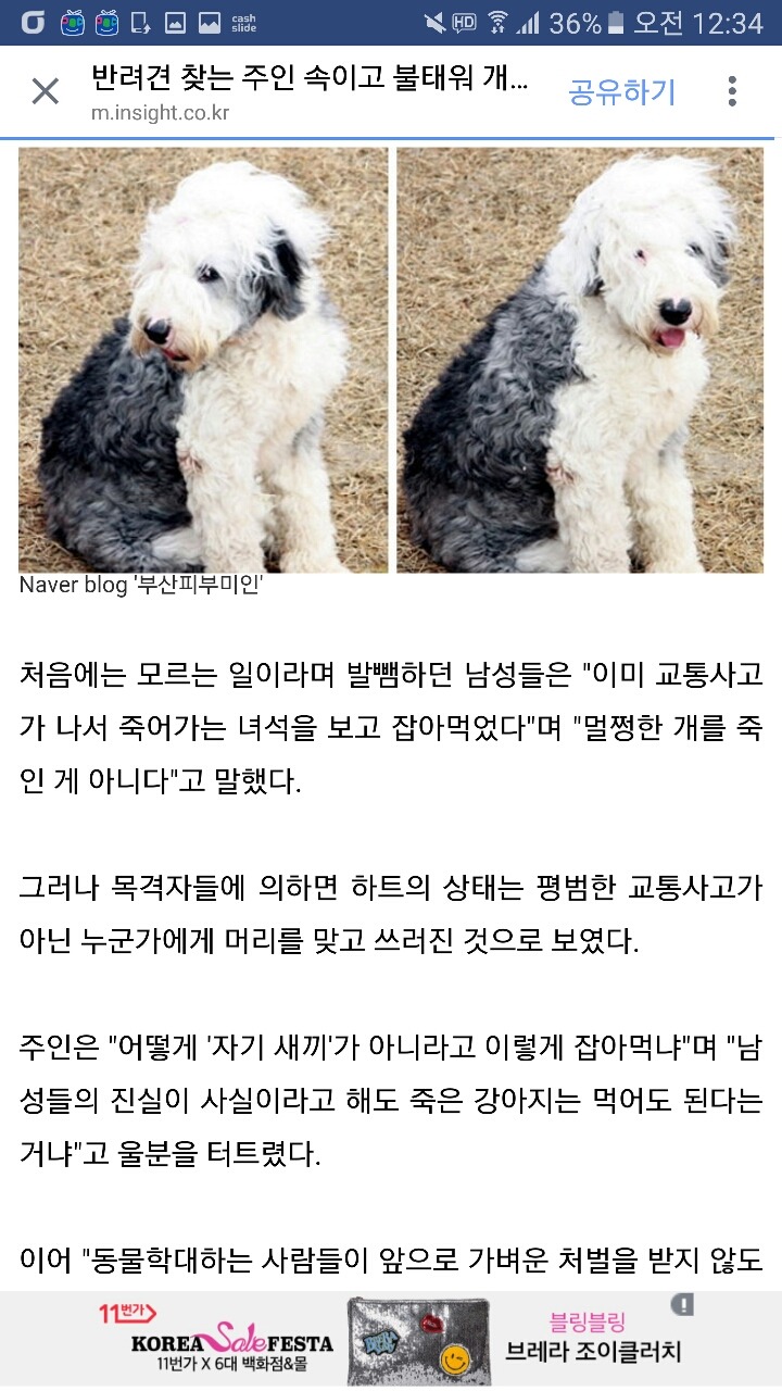 반려견 찾는 주인 속이고 불태워 개고기로 먹은 주민들 (사진) | 인스티즈