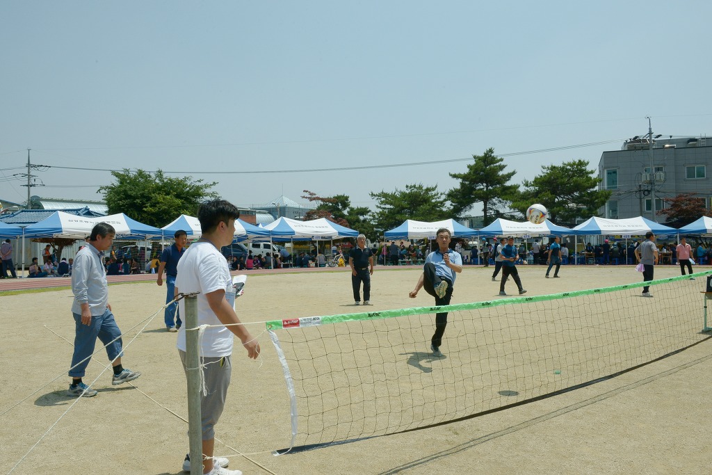 삼성초등학교 이미지