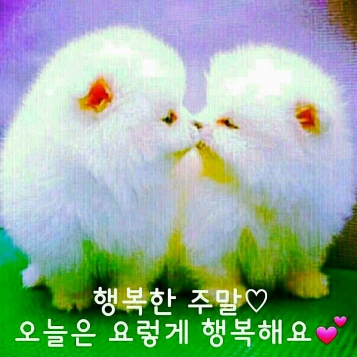 인 이미지