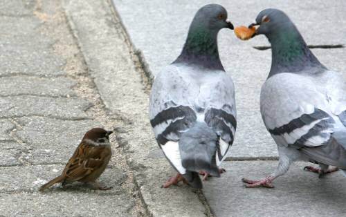  빼앗아서 연인이랑 나눠먹음;.jpg | 인스티즈