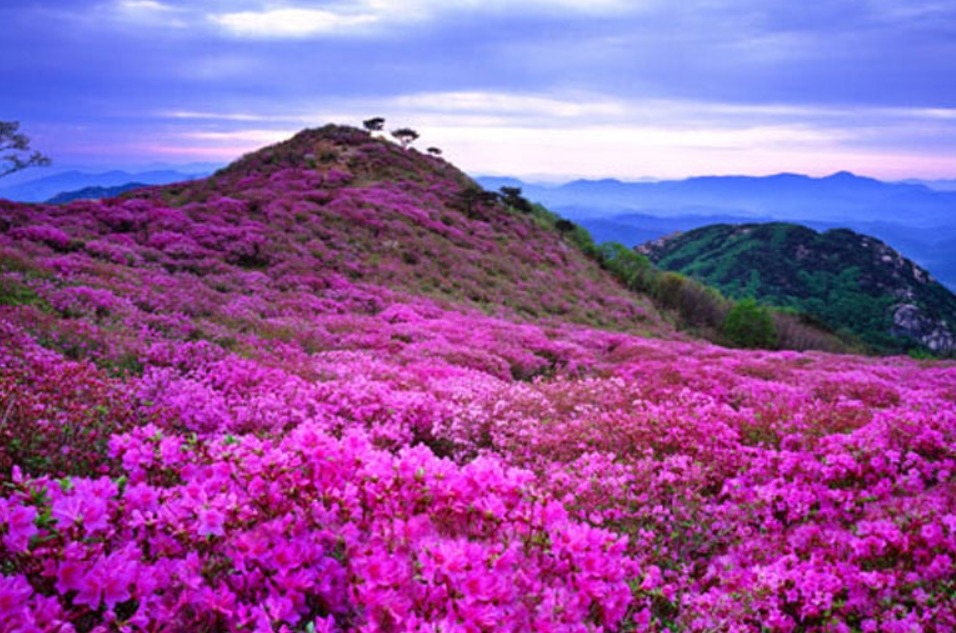 2477574459042BA33841F2