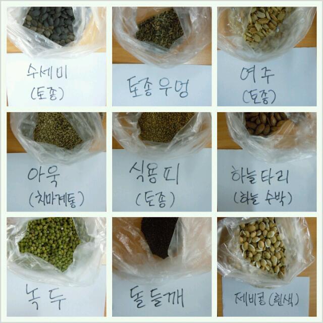 씨드림 이미지