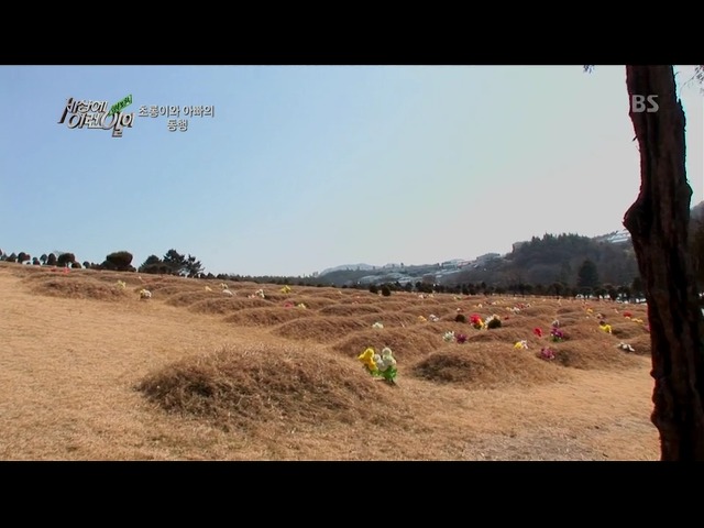 [세상에이런일이] 딸을 업고 오토바이 배달하는 아빠 | 인스티즈