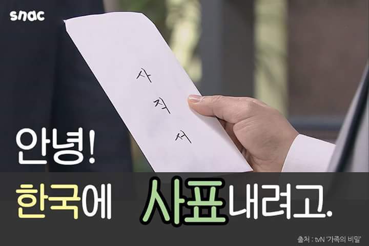 한국에 사표내는 사람들 | 인스티즈