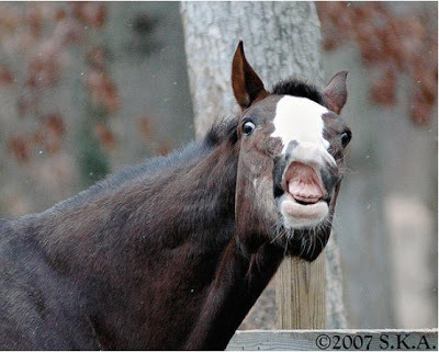 누가 페로몬 흘리고 다니는지 확인하는 방법.jpg | 인스티즈