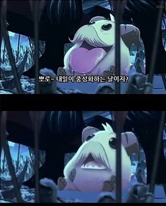 우리 포로~ | 인스티즈
