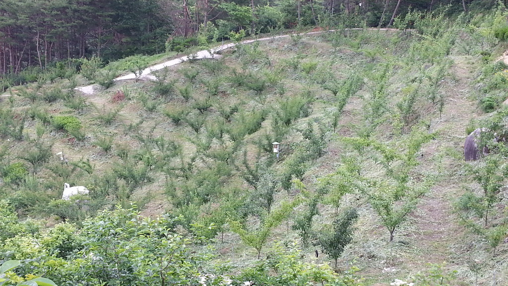 황전IC(완주) 이미지