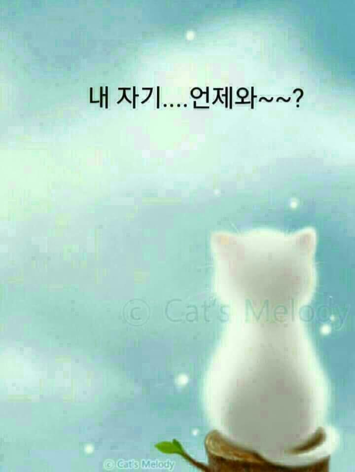 재미로보는 관상 | 인스티즈