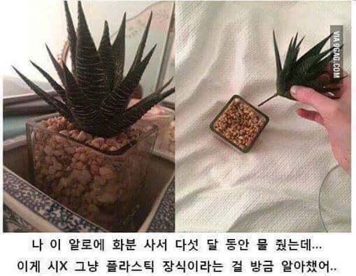 참을수없는 배신감.jpg | 인스티즈