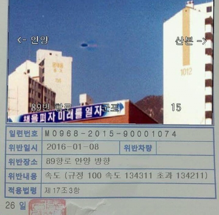 오늘자 허언증갤 속도위반 | 인스티즈