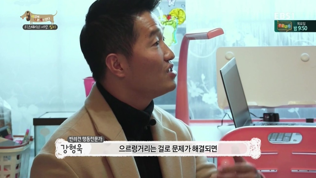 [세상에나쁜개는없다] 가족들에게 짖고 무는 강아지 릴리햏 | 인스티즈