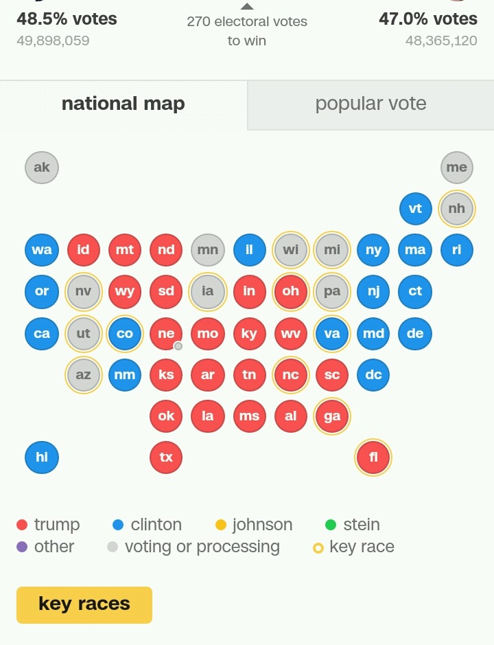 트럼프 경합지역 조지아 먹음 | 인스티즈