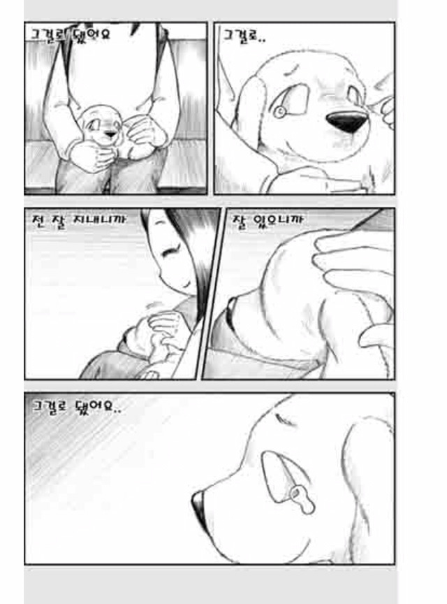 [눈물주의슬픔주의] 당신은 강아지에게 다정한 주인인가요? | 인스티즈