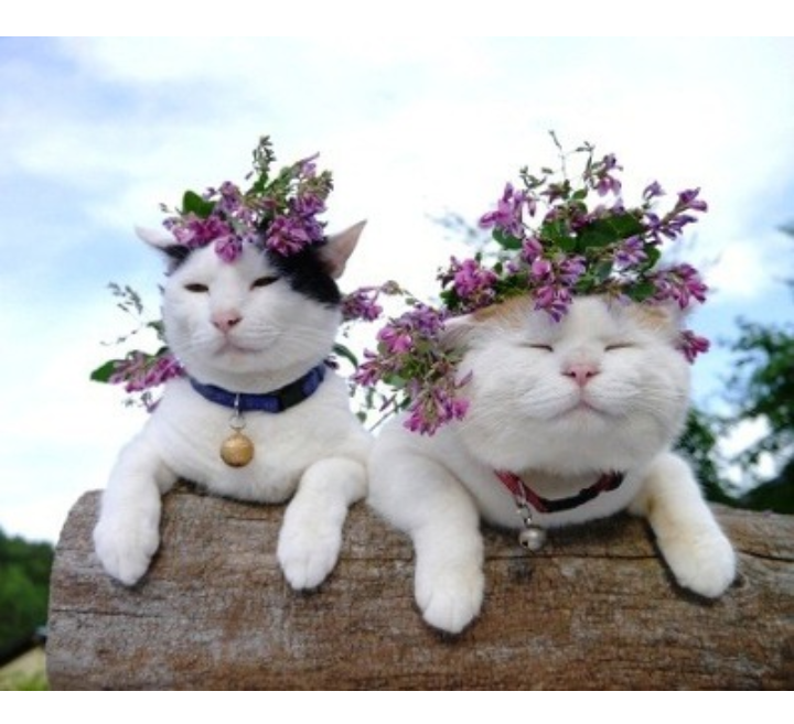 패닝맘이 누군지 찾아보았다 | 인스티즈