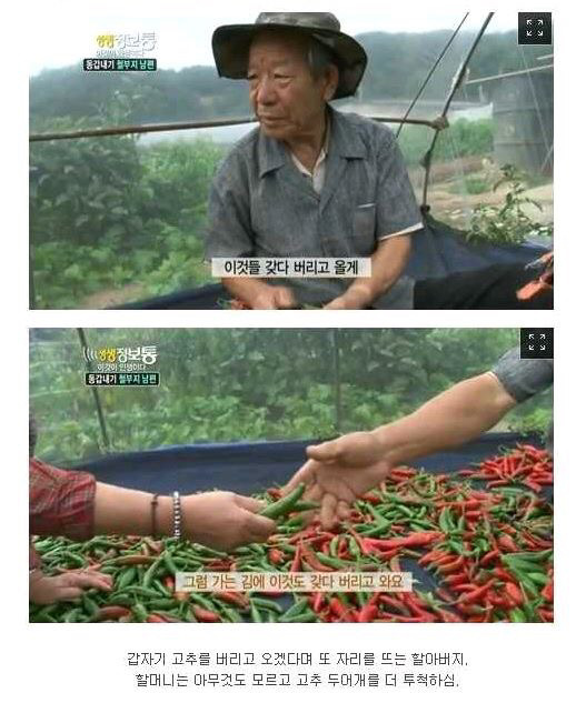 술을 사랑하는 할아버지가 사는법 | 인스티즈