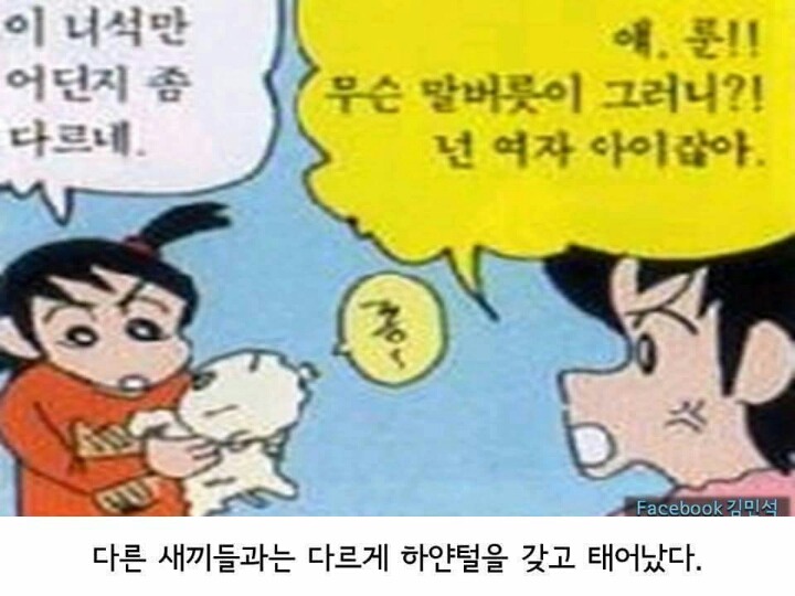흰둥이 출생이야기 jpg | 인스티즈