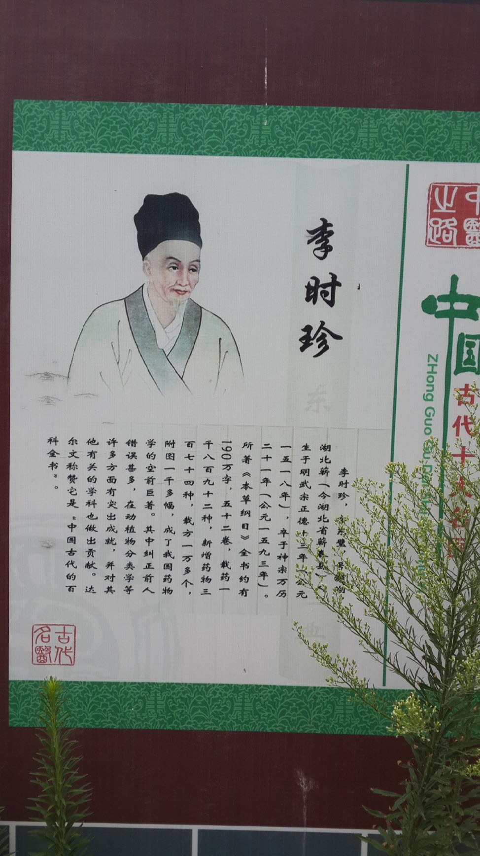 화타 이미지